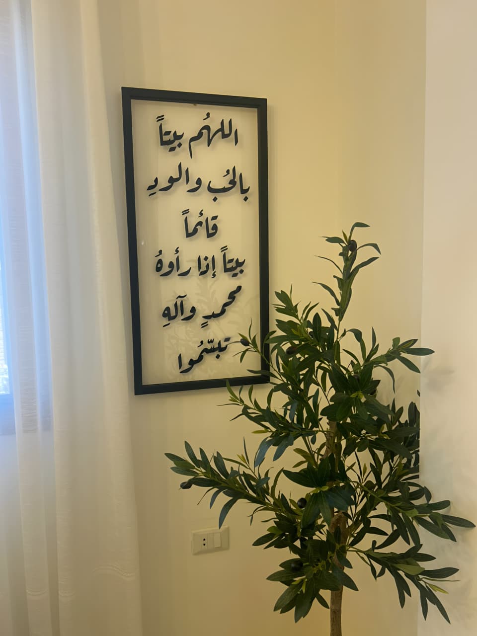 Plexiglass Art Frame